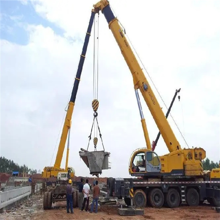 大成镇小型吊机出租电话|厂房设备吊装方案|24小时服务覆盖